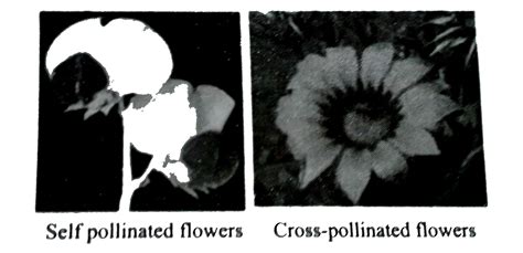Recognise the figure and find out the correct matching.