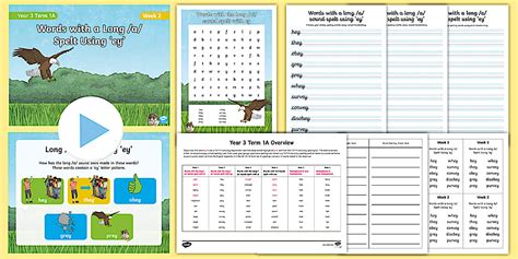 Year 3 Term 1A Week 2 Spelling Pack