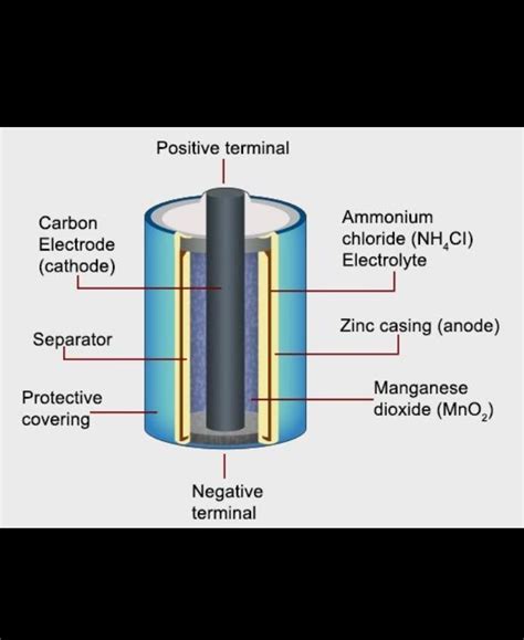 Draw neat lebelled diagram of 'Dry cell'. - Brainly.in