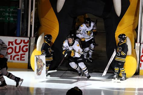 Télécharger toutes les photos