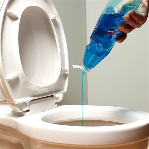 diy unclog toilet