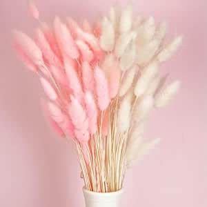 TIED RIBBONS Set of 100 Pcs Natural Dried Bunny Tail Pampas Grass Pink ...