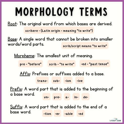 Morphology Examples Using Morphology To Teach Vocabulary Keys To