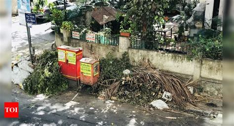 Blatant inefficiency of garbage/garden/tree dept - Times of India