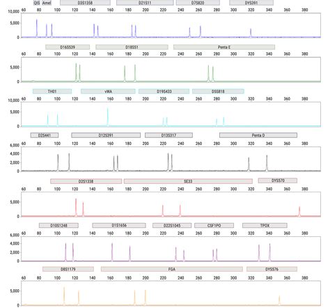 Paradyme 27GY STR Analysis System