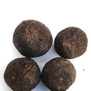 Apnisanskriti Nepal Natural Raw Rudraksha Fruit (Original Untreated ...