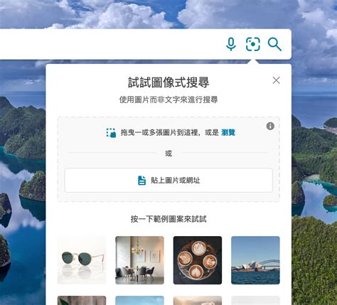 Bing 以图找图 的图像结果