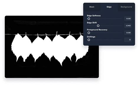 Image result for How to Use Topaz Mask AI