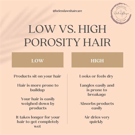 Low vs. High Porosity Hair | Hair porosity, High porosity hair, Low ...