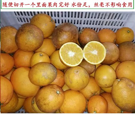 江西龙南：“赣南早”脐橙迎丰收_地方新闻_中国青年网