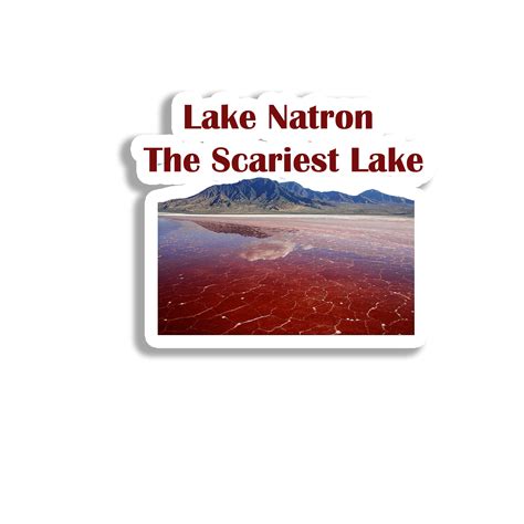 Lake Natron Souvenir Fridge Magnet – ShopTwiz