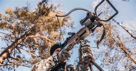 Image result for Assault Crossbow