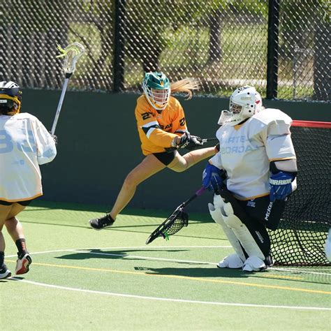 Lacrosse 的图像结果