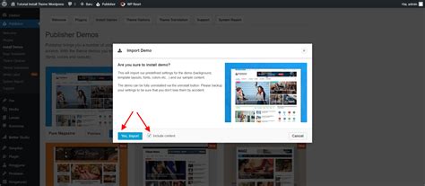Tutorial install theme Publisher Pro