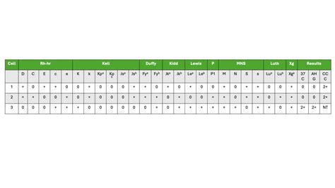 Antibody Screening: Principle, Protocol & Interpretation