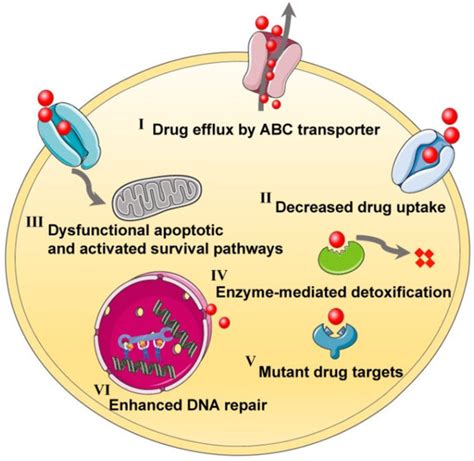 Nanomedicines for Overcoming Cancer Drug Resistance