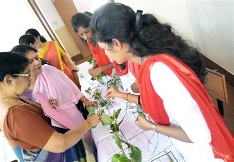 Sasya Sanjeevini Medicinal Plant Exhibition and Competition: Youth Red ...