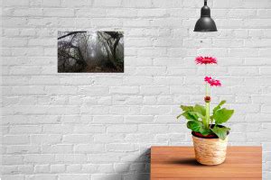 Nature Sticker Poster|Jungle Poster|Interior Wall Poster|Home Wall Art ...