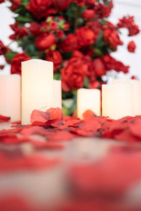 Basic Portrait Lighting 的图像结果