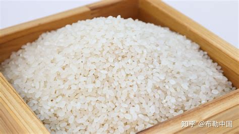 你知道自热米饭的米是什么米吗？放大一万倍看，结果让人很意外！ - 知乎
