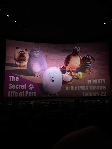 Image result for IMAX Screen Size