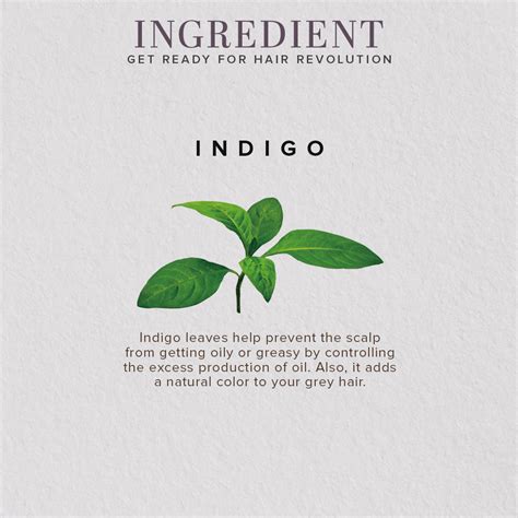Organic Indigo Leaf Powder - 100% Natural | Natural Organic Indigo Leaf ...