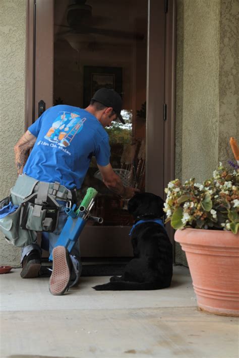 Image result for Window Washing