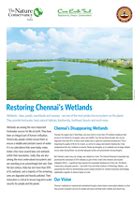 Publications | The Nature Conservancy India