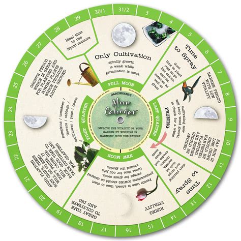 Zodiac planting guide 60 photos - Astrologytoyou.com