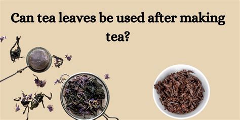 Can tea leaves be used after making tea?