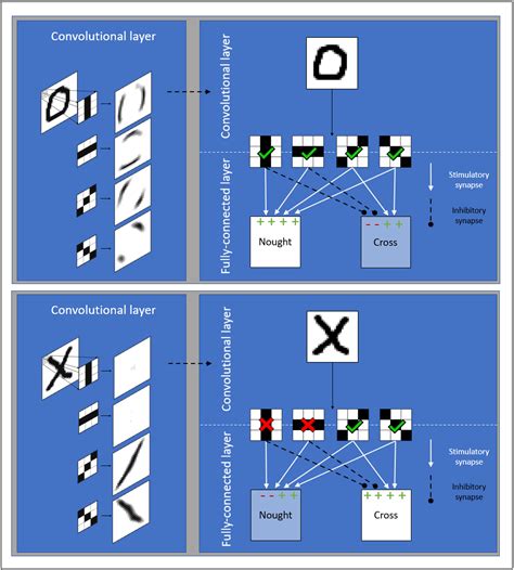 Image result for How Do Convolutional Neural Networks Work