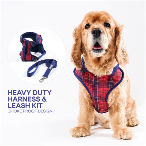 Dresses For Dogs | Dog Clothing | Dog Accessories | Barks and Wags ...