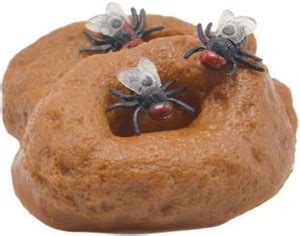 RVM Toys Novelty Fake Shit with Mosquito Practical Jokes and Trick Toys ...