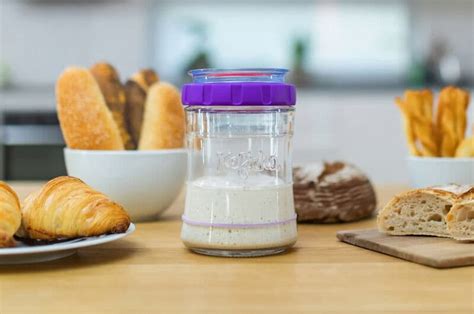 Specialized Sourdough Starter Containers : Sourdough Fermenter