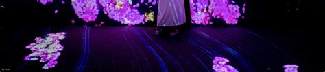 teamLab Future Park and Animals of Flowers, Symbiotic Lives Sapporo ...