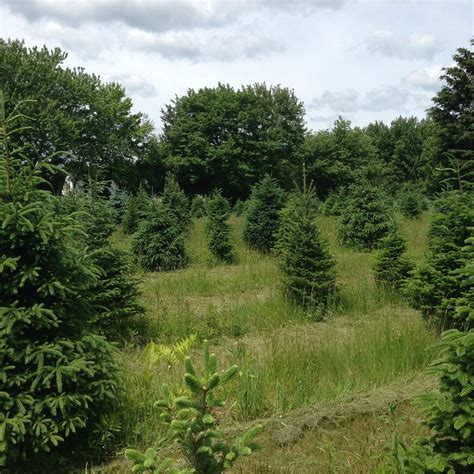 PETERSEN FARM (2026) All You Need to Know BEFORE You Go (with Photos ...