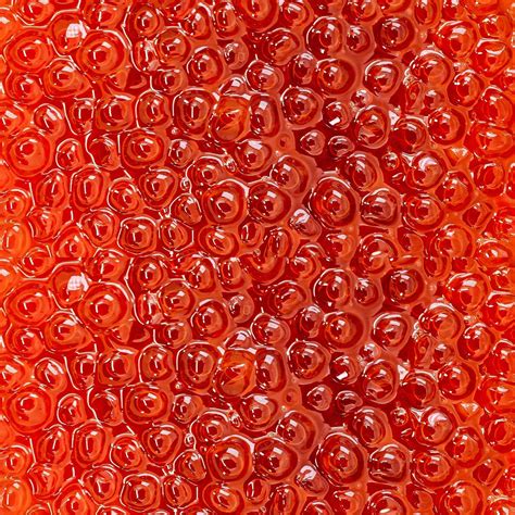 Japanese Ikura – Maruhide Marine Products