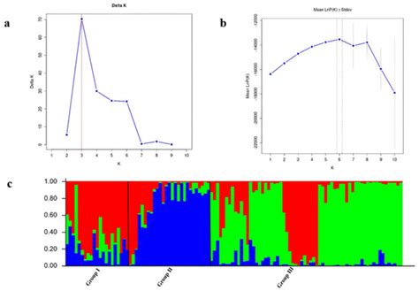 Development of Inter-Retrotransposon Amplified Polymorphism (IRAP ...