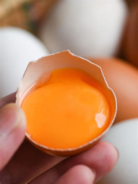 Can egg yolks make you fat?