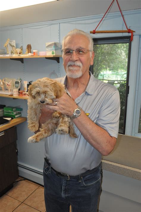 Charli! – Morris Hills Veterinary Clinic