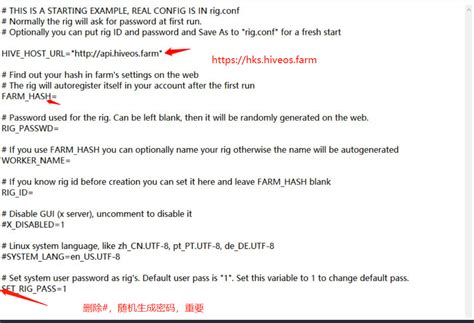 HiveOS Tutorial 的图像结果