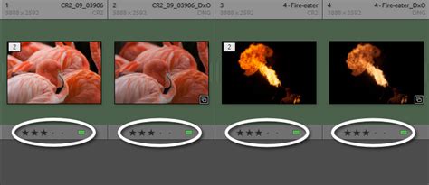 Image result for 2020 DxO Tutorials