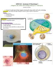 Module 3 Study Guide 的图像结果