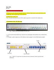 Image result for API 20E Manual PDF