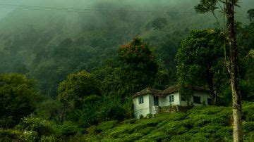 Amazing 4 Days 3 Nights Munnar with New Delhi Tour Package | munnar ...