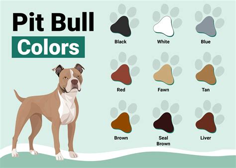 Colors Of Pitbull Dogs