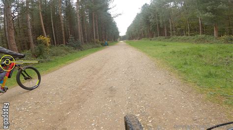 Ann.antics Nude OnlyFans Leaks - Photo #2041207 - Fapopedia