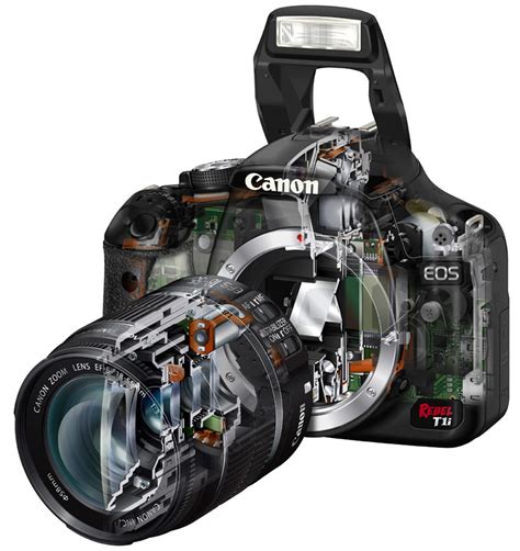 Canon T1i Tutorial 的图像结果