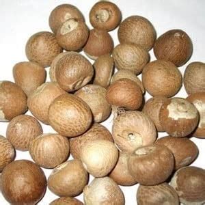 Buy Paan Supari Puja Supari, Areca Nut, Chaliya, Sabut Chaliya, Betel ...