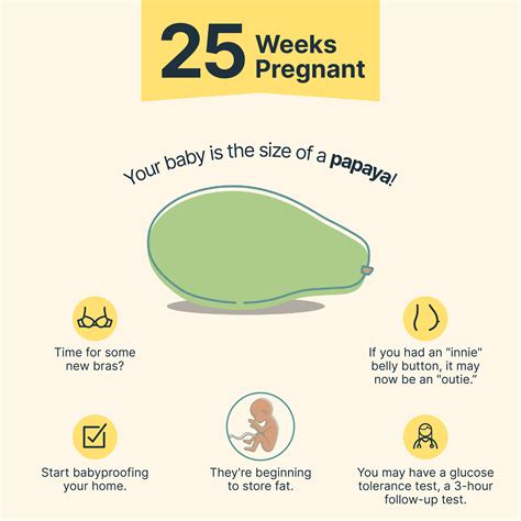 25 Weeks Pregnant: Baby's Size, Symptoms, Tips, and To-Dos - Dario Connect